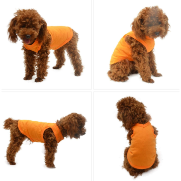 子犬の犬の服空白のTシャツのティーシャツ