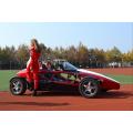 Super electric sports car (special for track)