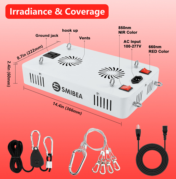600w Full Body Physical Pdt Machine 600w Full Body Physical Pdt Machine