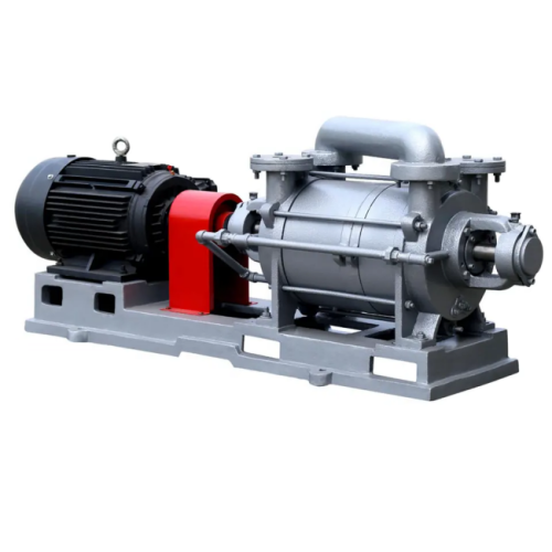 Roots Booster Pump Explosion Proof Two Stage Water Ring Vacuum Pump Supplier