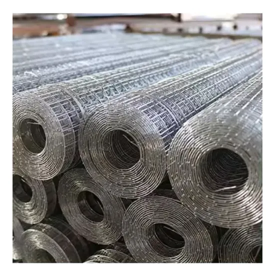Hot Selling Galvanized Welded Wire Mesh Roll for Garden Fence