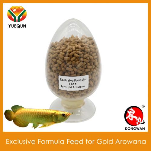 Feed Akquarium Fish Componed Feed for Gold Arowana