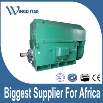 high voltage ac voltage electric motor