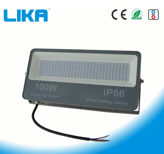 Outdoor LED floodlight with die-cast aluminum housing
