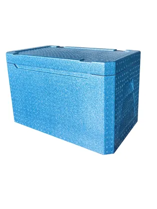 Expanded Polypropylene VIP Insulation Box