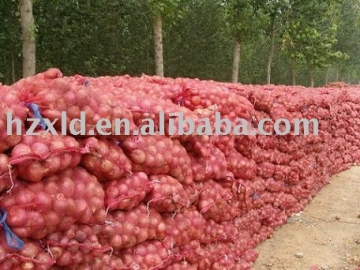 Onion