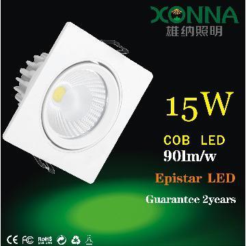 Adjustable cob downlight, XN-TD1715