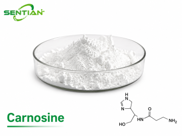 Carnosine Powder Supplier | Antioxidant Peptide Manufacturer