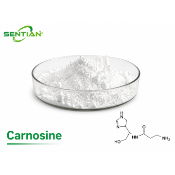 Carnosine Powder Supplier | Antioxidant Peptide Manufacturer