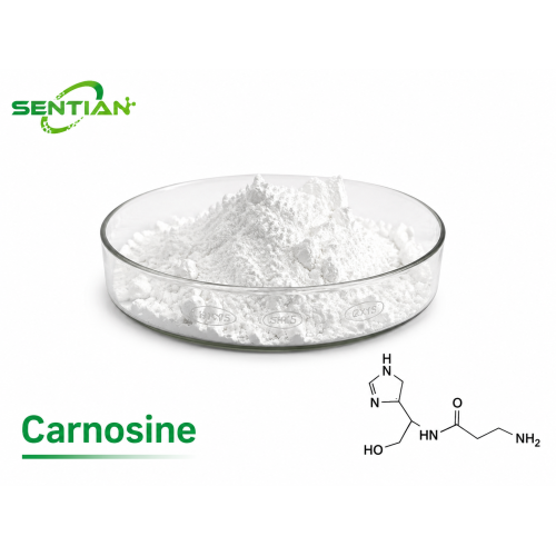 Carnosine Powder Supplier | Antioxidant Peptide Manufacturer