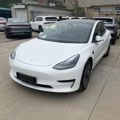 China's Market for 4-Wheel New Energy Vehicles: Focus on Tesla Model 3, Electric EV Cars for Adults
