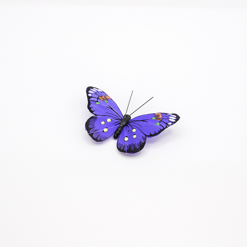 Idées de décoration de papillon