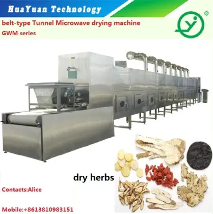 Wasp Insect Herbals Microwave Drying Equipment
