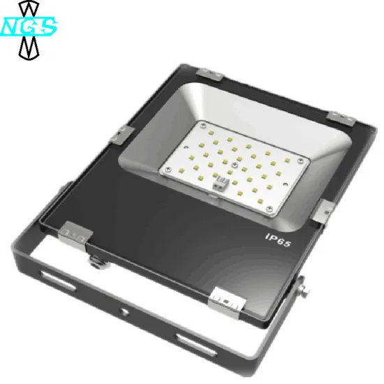 Europe Style IP65 Waterproof Outdoor 100W LED Flood Light SMD LED Light