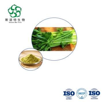 Chiết xuất cần tây cao cấp số lượng lớn cho công thức thực phẩm
