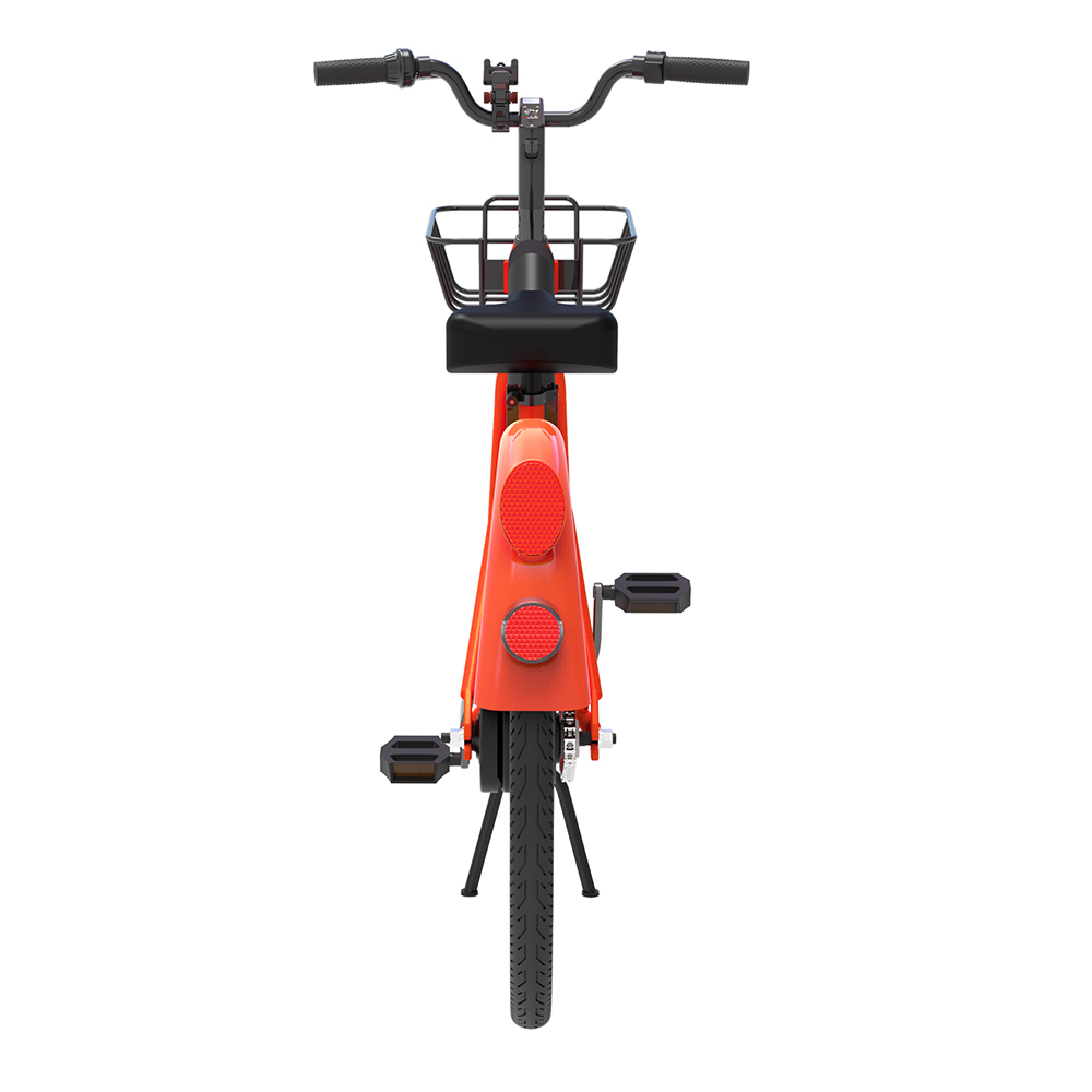 Electric Bike For Rental (7)