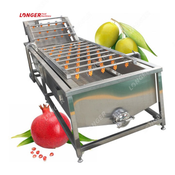 Factory Price Leaf Vegetable Olive Washing Pomegranate Cleaning Machine