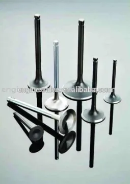 valves