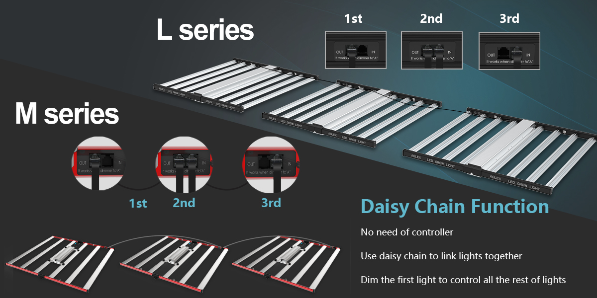 Daisy chain function