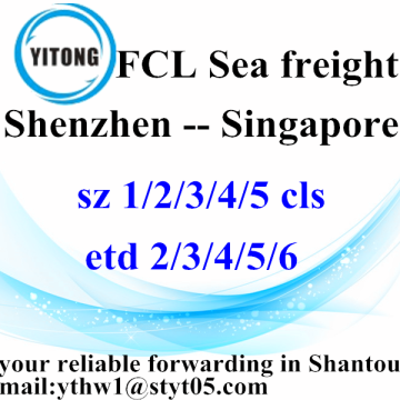 Shenzhen para Singapura Internatioanl Freight Forwarder