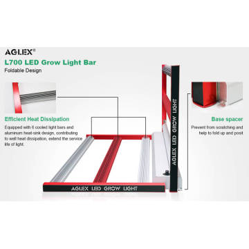 Bluetooth grow light for indoor medicine growth