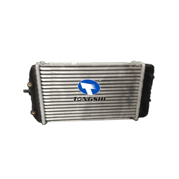 Auto Intercooler OEM 28270-2GTHO for Hyundai Santa Fe
