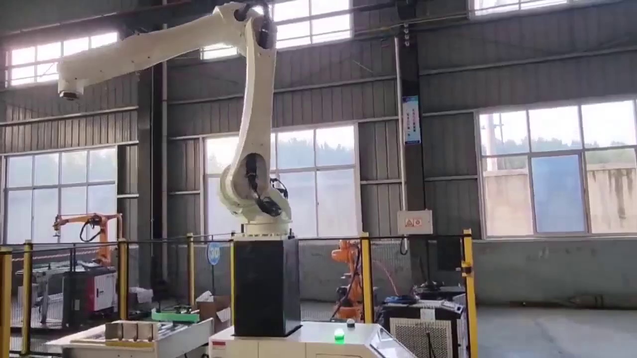 Collaborative Robots Stacking Machine Palletizer Robot for 30kg Carton