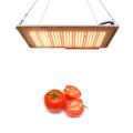 Growing Tomatoes Waterproof Grow Light 120W IP67