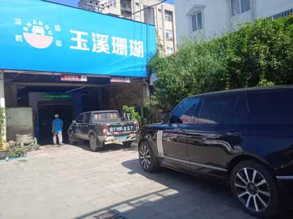 Robot Car Wash Equipment Leisuwash DG Купить