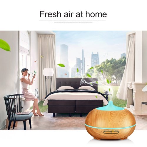 Ultrasonic Spray Spa Mist Diffuser 400ML
