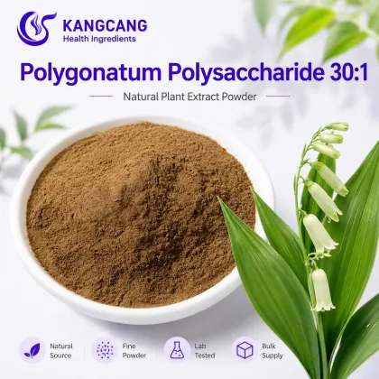 Polygonatum Sibiricum Extract Rhizoma Polygonati Powder 10:1
