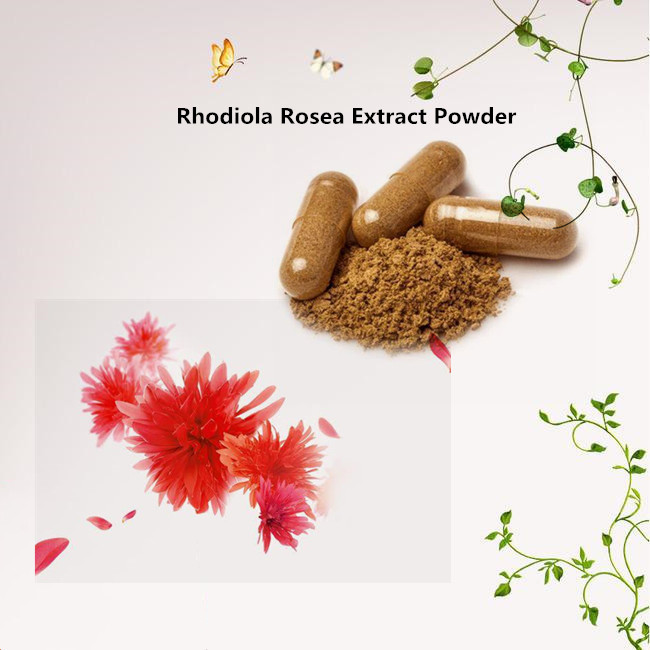 Rhodiola Rosea Extract9 Jpg