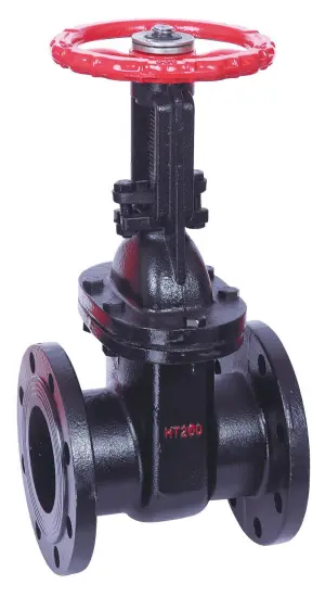 BS 5163 Cast Iron Flanged Metal Seated OS&Y Gate Valve