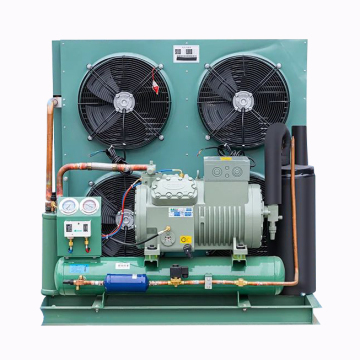 Bitzer and Gurun Semi-Enclosed Piston Compressors: Applications in Cold Rooms and Industrial Plants