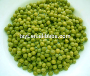 supply canned green peas with dry & fresh materials good quality