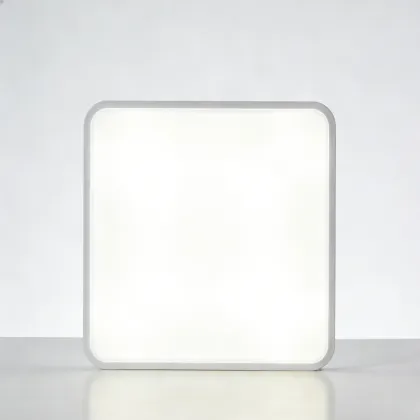 LED ceiling light for indoor serenity