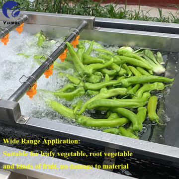 Skala kecil 500kg/j mesin basuh sayur untuk brokoli, lobak merah, lada, timun, kentang