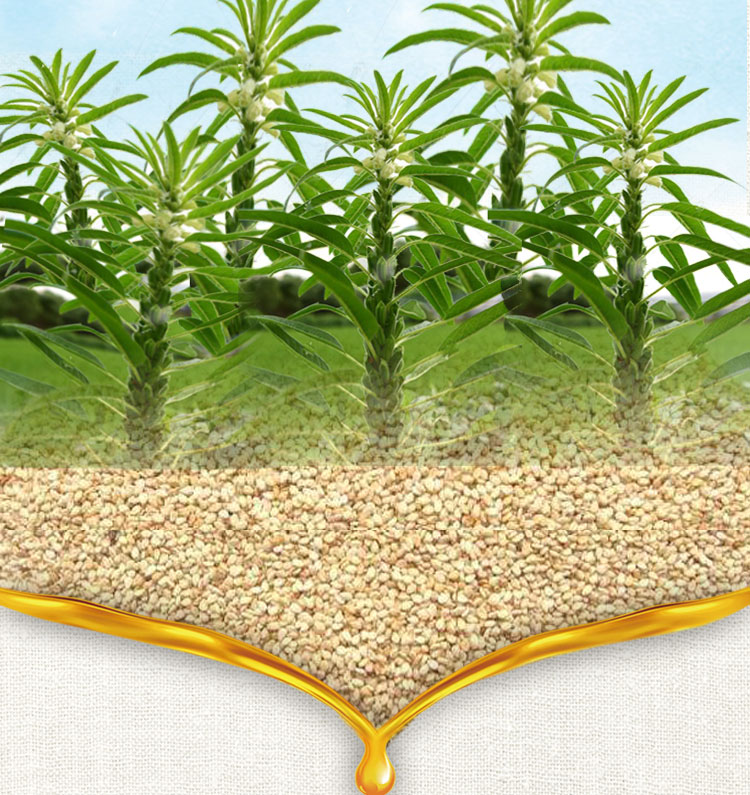 sesame oil