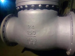 2205 Flanged Vertical Check Valve (H42) ,DN50,PN16