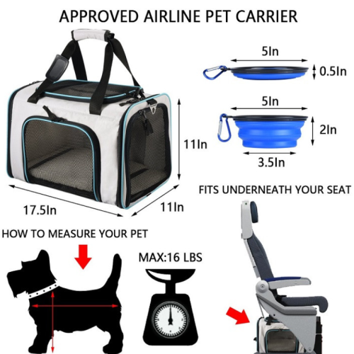 Kleine luxe huisdieren reizen draagtas