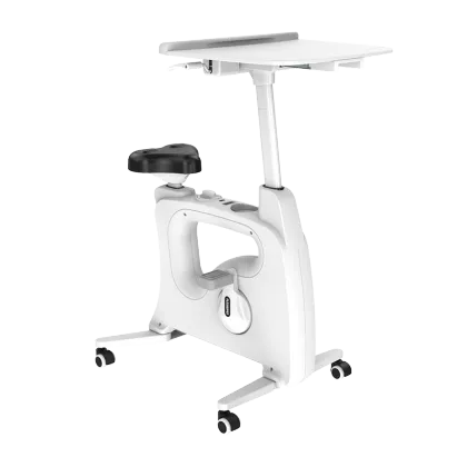 Loctek F209DT-A: Ergonomic Height-Adjustable Desk Side Exercise Bike