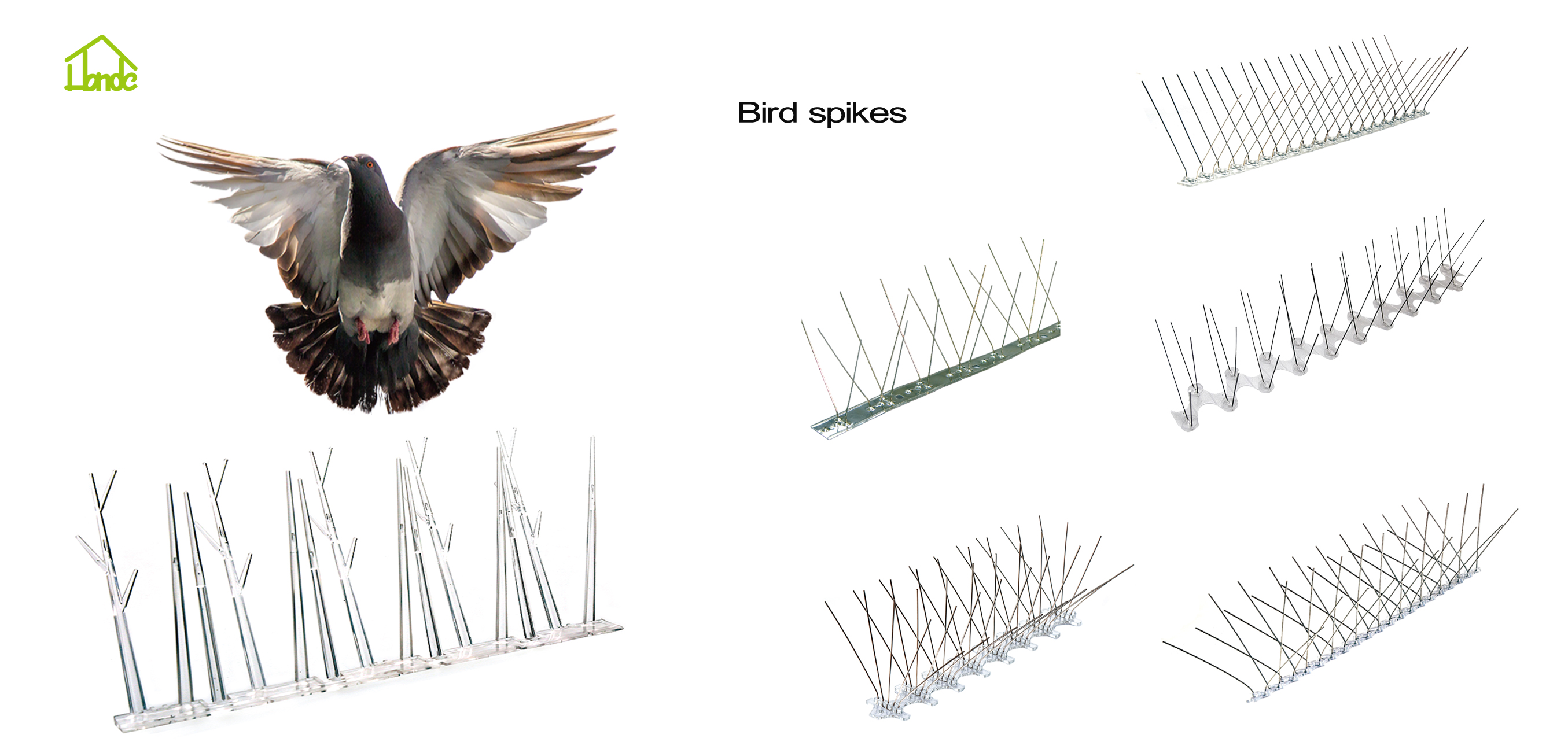 bird spikes (2)
