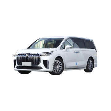 China Cheap Voyah 2024 New Electric SUV: 5 Door 5 Seat Long Range EV