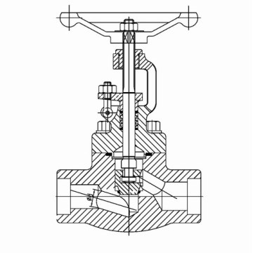 Forged Steel Globe Valve (SW/Threaded End)