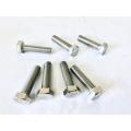 Metric SS304 Hex Head Bolt