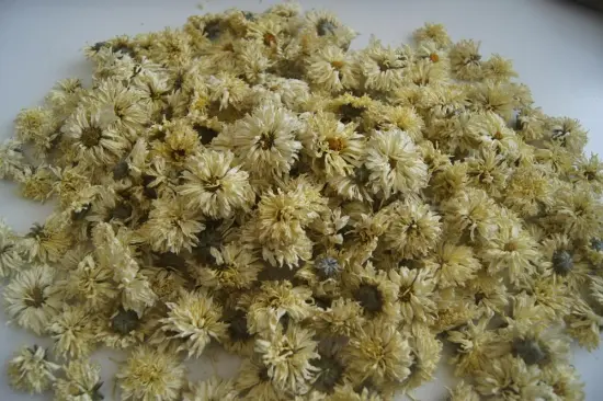Top qualiy Dried Chinese Chrysanthemum