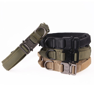 Collar per cani nylon per cani da grande logo Sturdyarmor Logo personalizzato