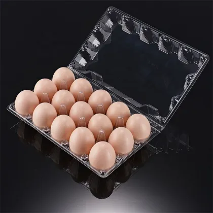Professional Plastic Tray Vacuum Thermoforming Machine - Blister Making Machines