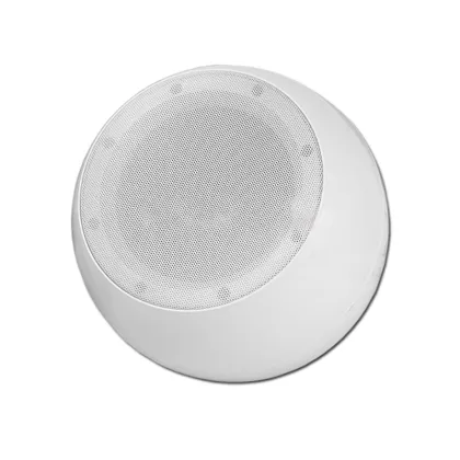 Professional PA System Hi-Fi Pendant Ball Speaker