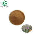 Top Quality Fritillariae Cirrhosae Essential Extract Food Additive for Nutrition
